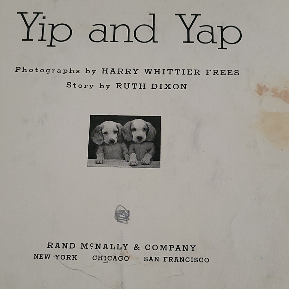 YIP AND YAP Children's Book - 1936 1ST Edition - Picture 3 of 10
